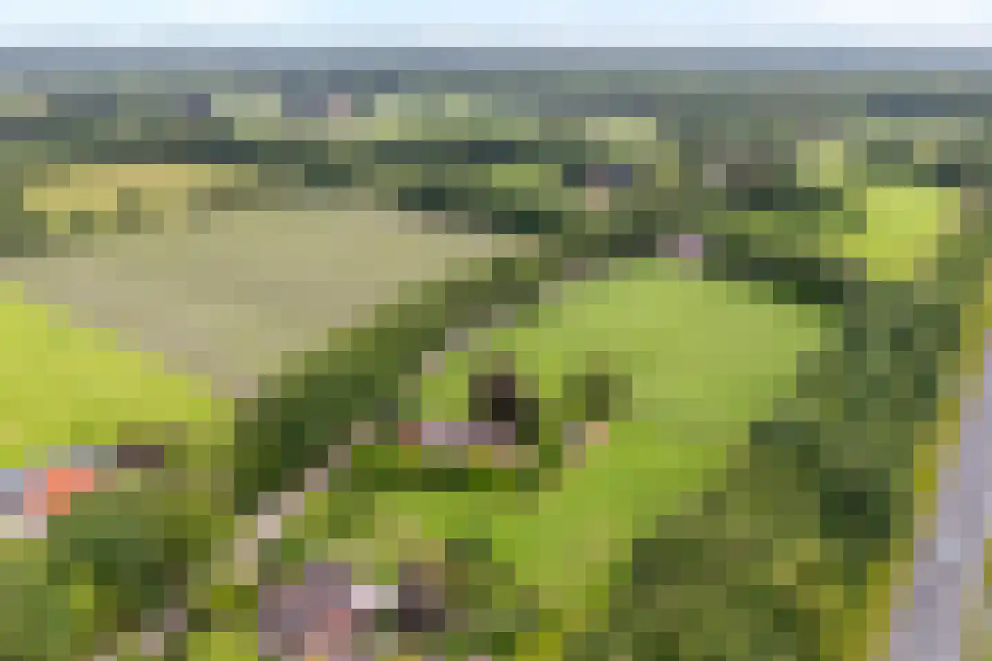 Postweg 6 de Lutte thumbnail 32
