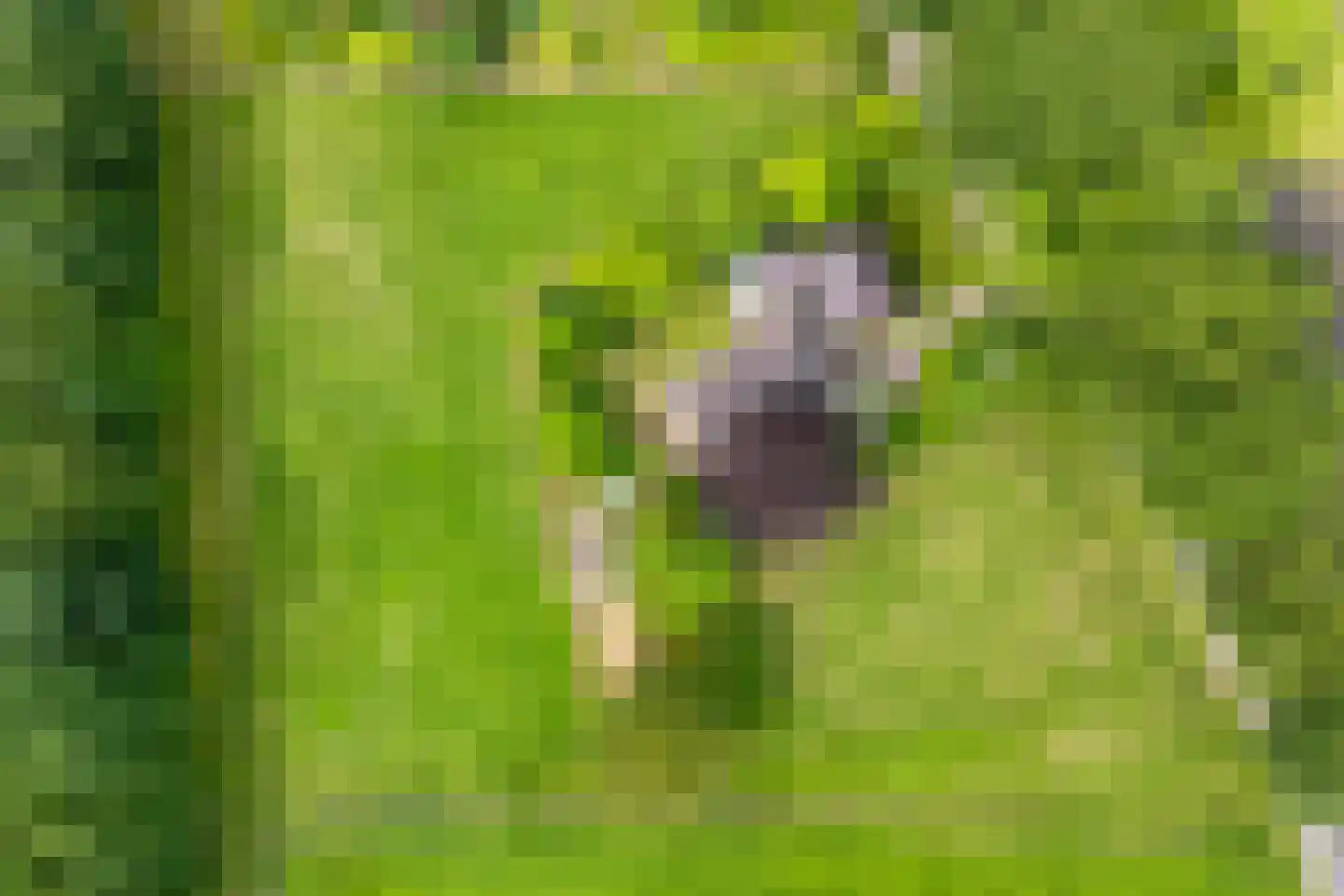 Postweg 6 de Lutte thumbnail 33
