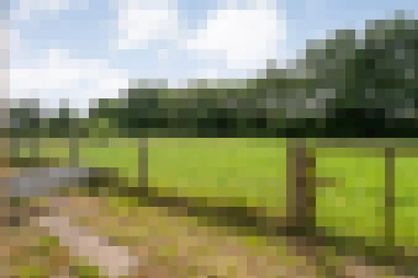 Postweg 6 de Lutte thumbnail 34