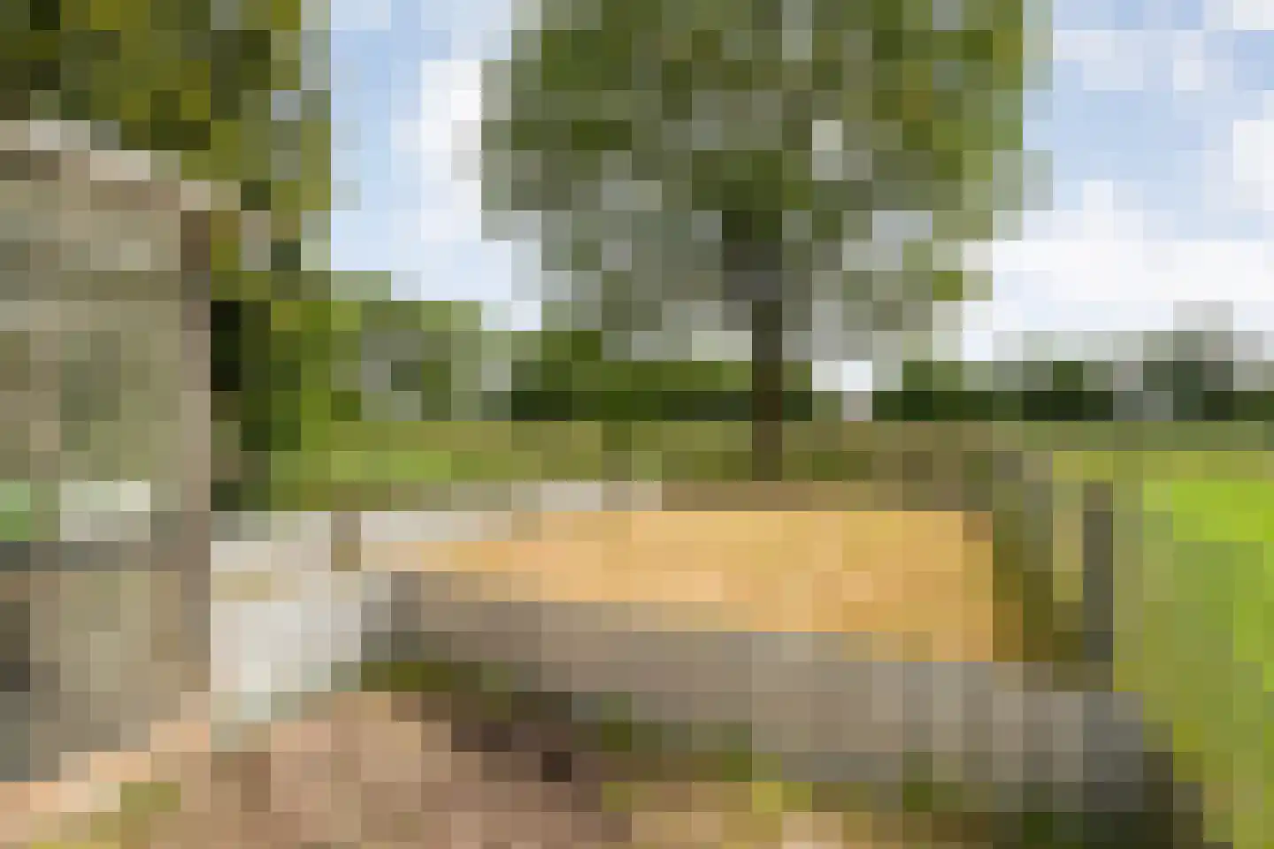 Postweg 6 de Lutte thumbnail 35