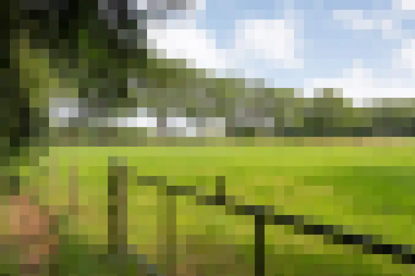 Postweg 6 de Lutte thumbnail 4