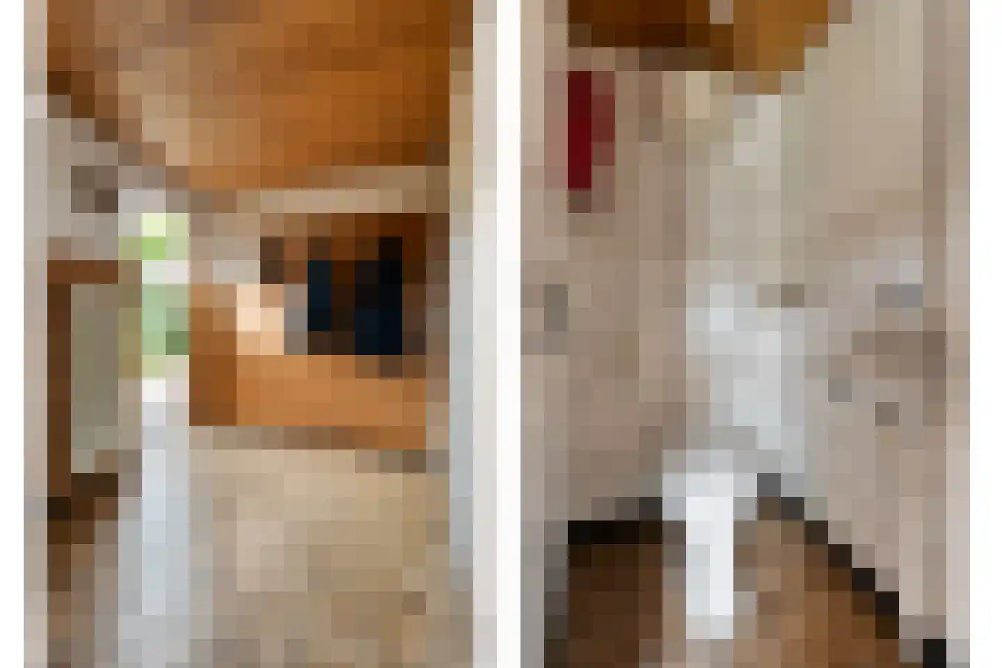 Postweg 6 de Lutte thumbnail 7
