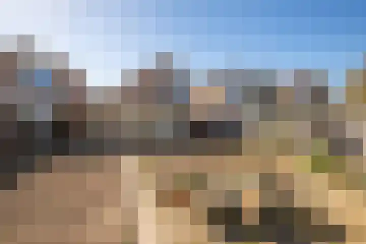 Postweg 8 Born thumbnail 19