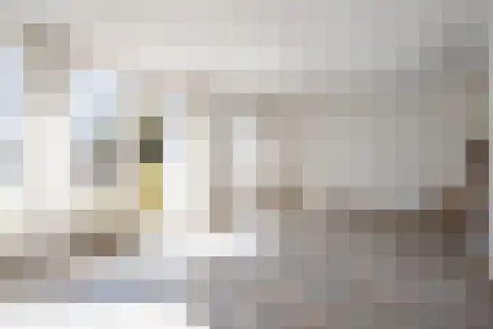 Postweg 8 Born thumbnail 4