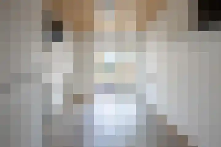Postweg 8 Born thumbnail 6