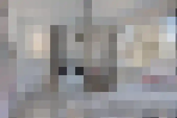 Postweg 8 Lunteren thumbnail 25