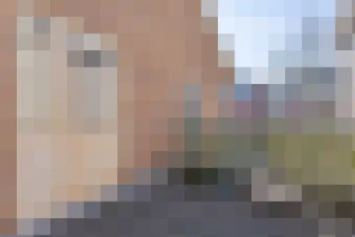 Postweg 8 Lunteren thumbnail 33