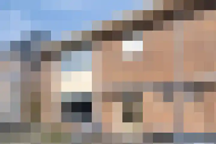 Postweg 8 Lunteren thumbnail 6