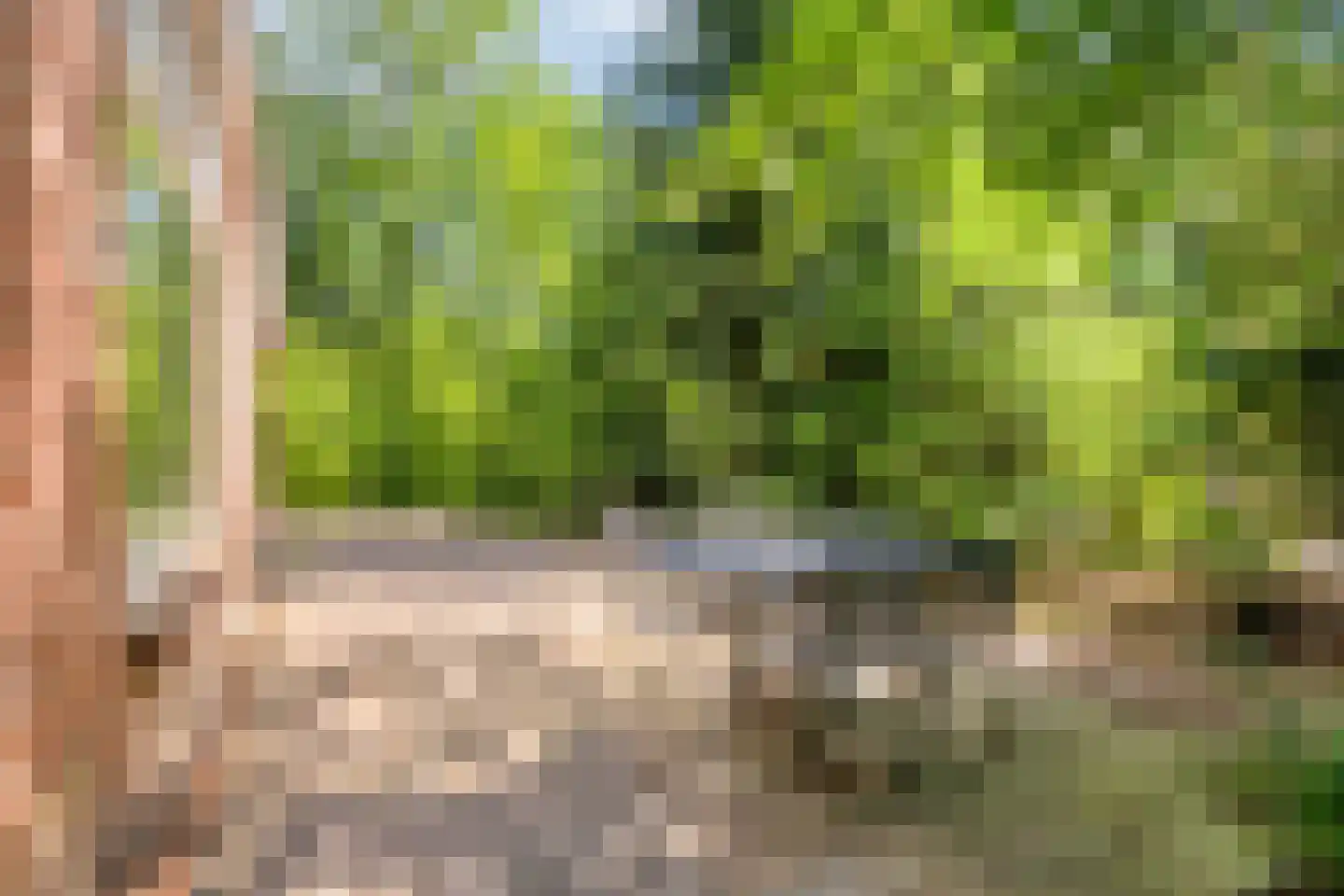 Postweg 81 Holten thumbnail 25