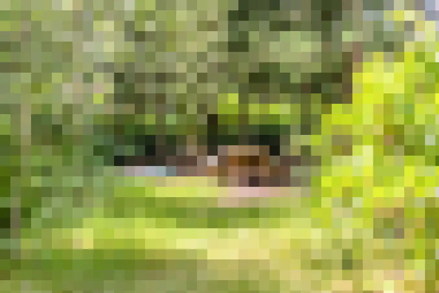 Postweg 81 Holten thumbnail 26