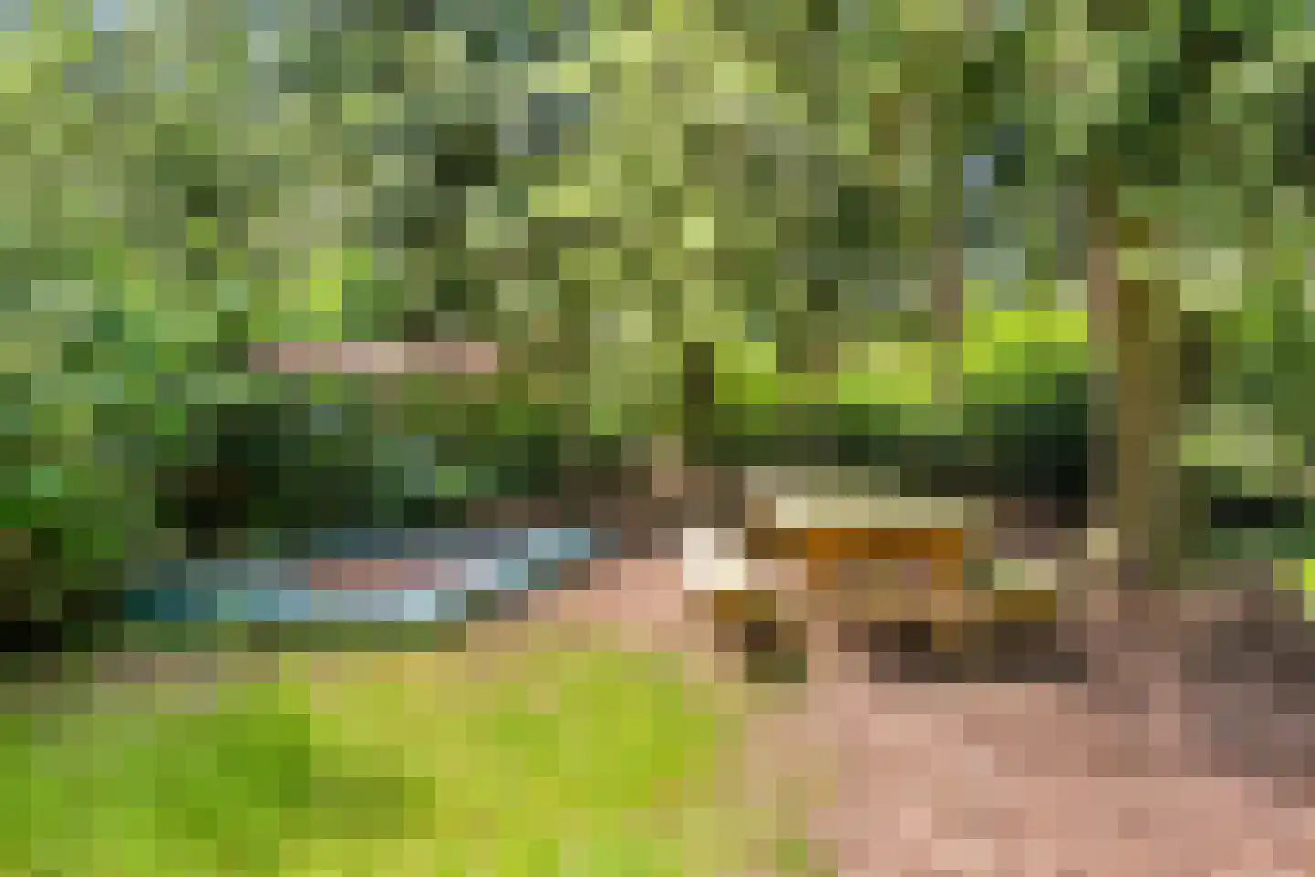 Postweg 81 Holten thumbnail 27