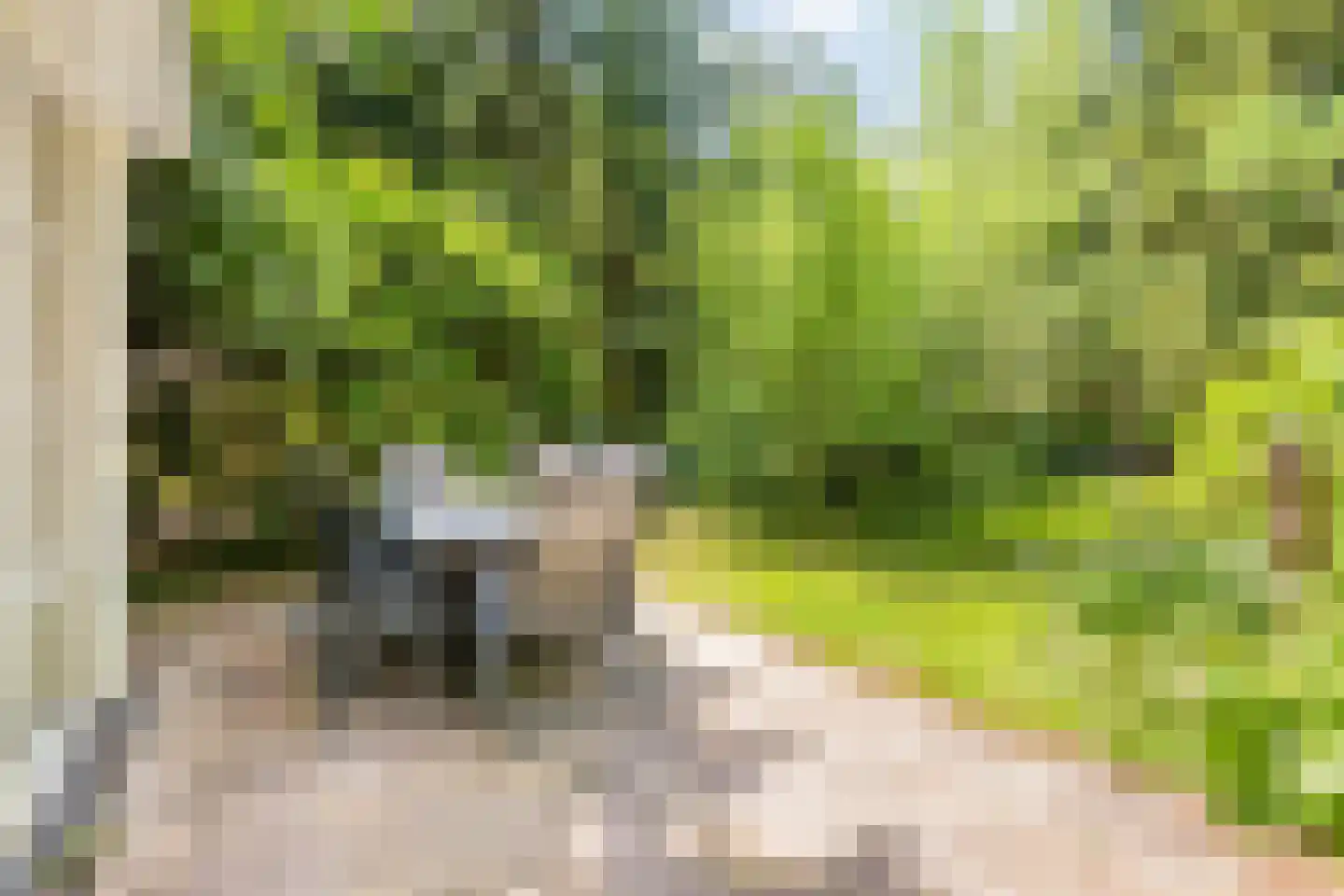 Postweg 81 Holten thumbnail 28