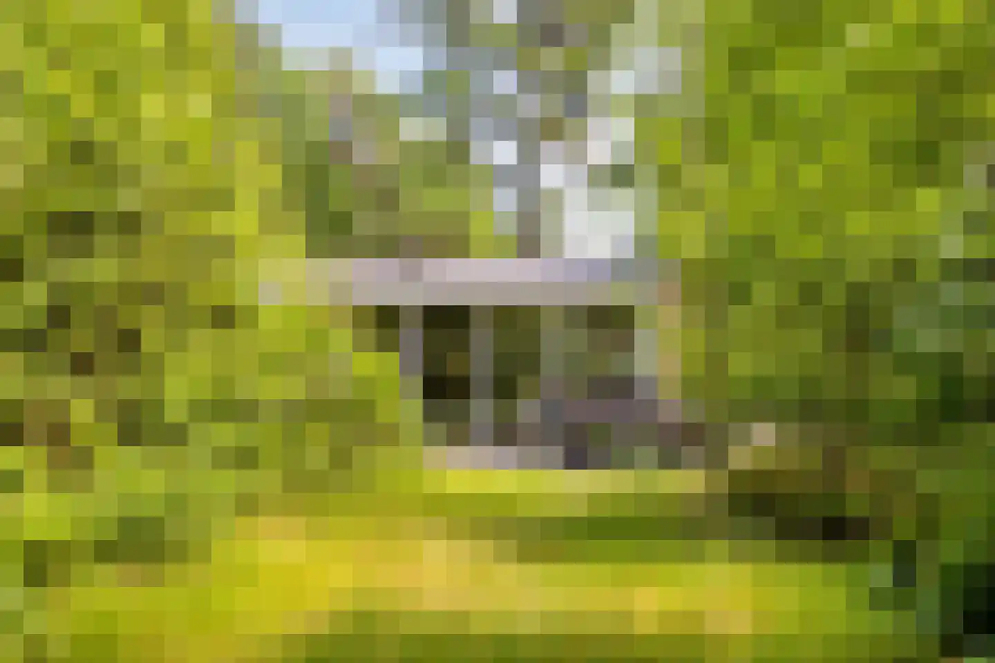 Postweg 81 Holten thumbnail 29
