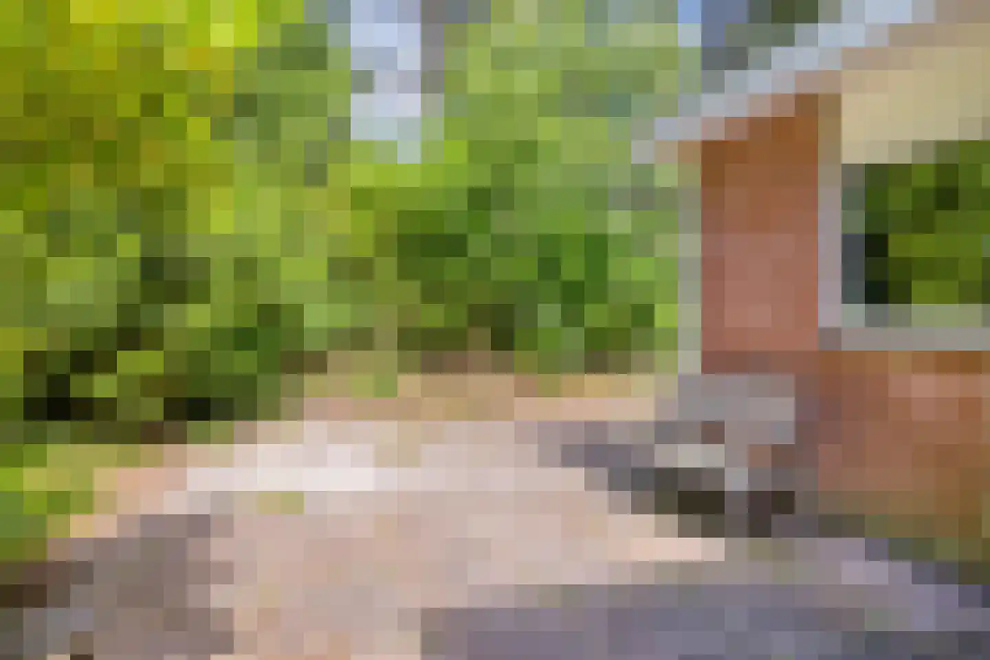 Postweg 81 Holten thumbnail 30