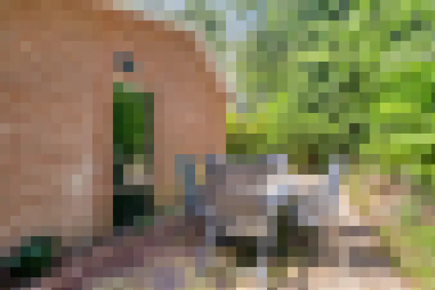 Postweg 81 Holten thumbnail 32