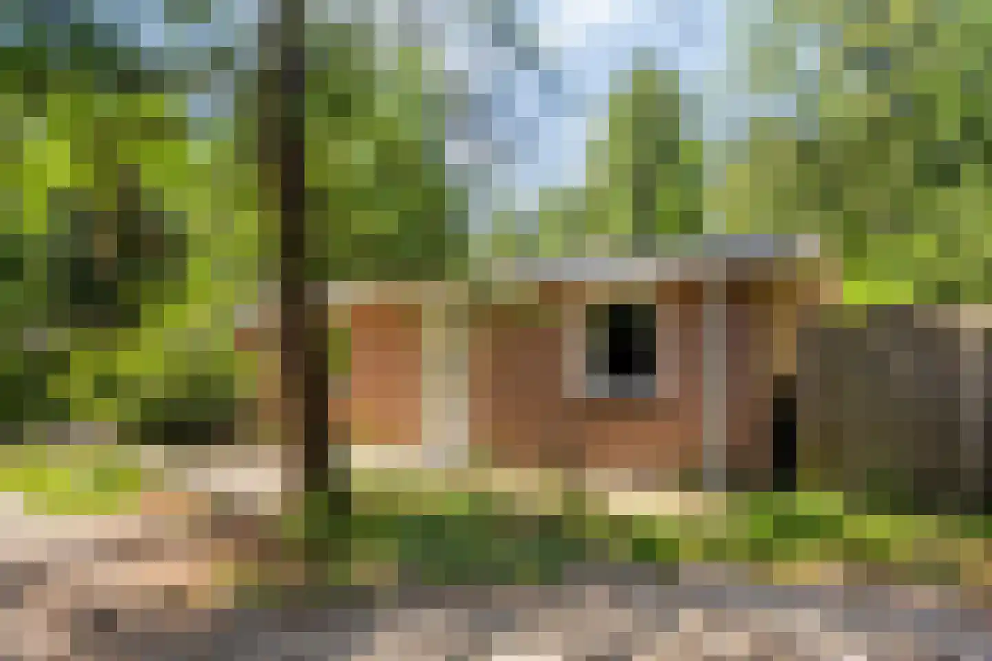Postweg 81 Holten thumbnail 33