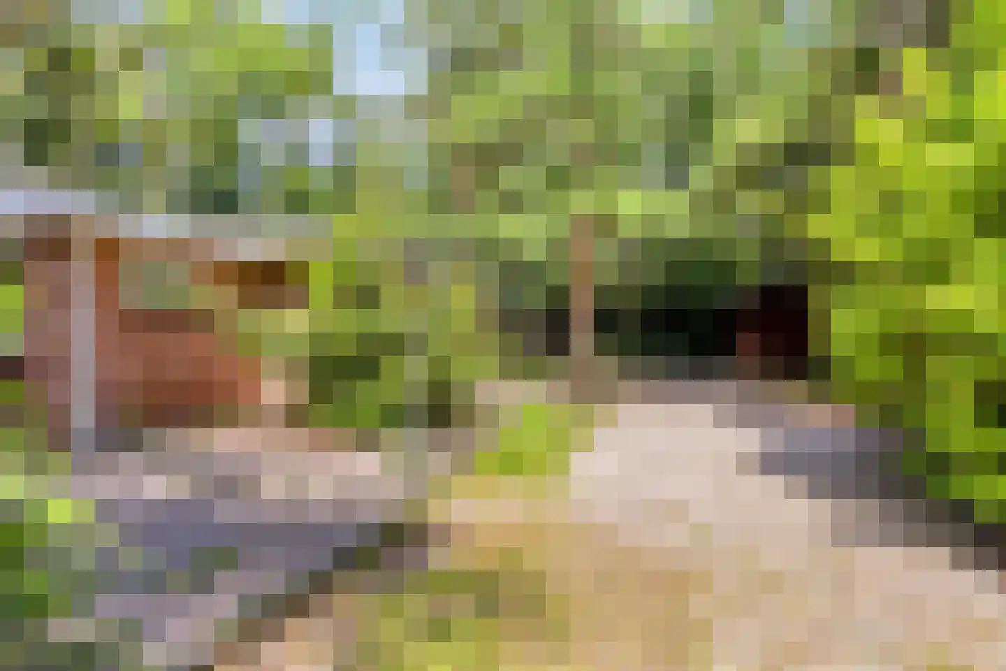 Postweg 81 Holten thumbnail 36