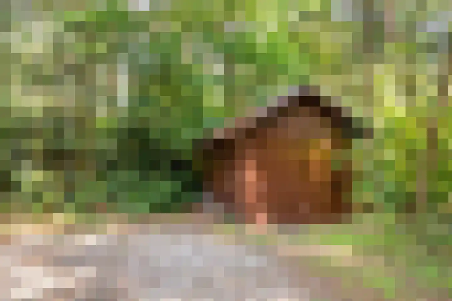 Postweg 81 Holten thumbnail 37