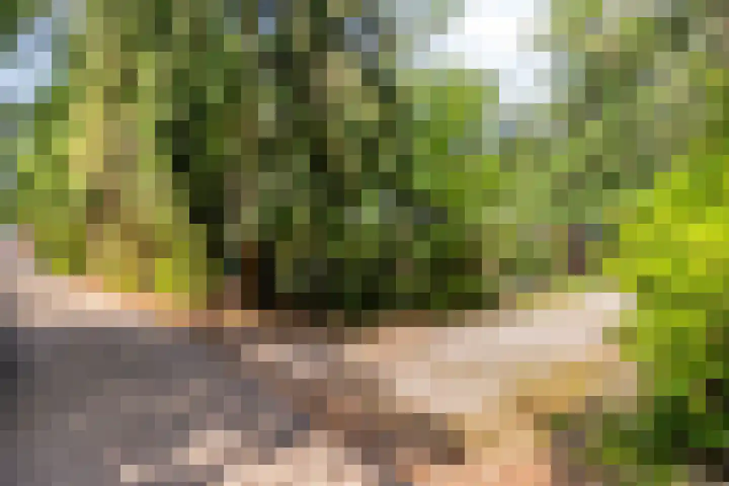 Postweg 81 Holten thumbnail 38