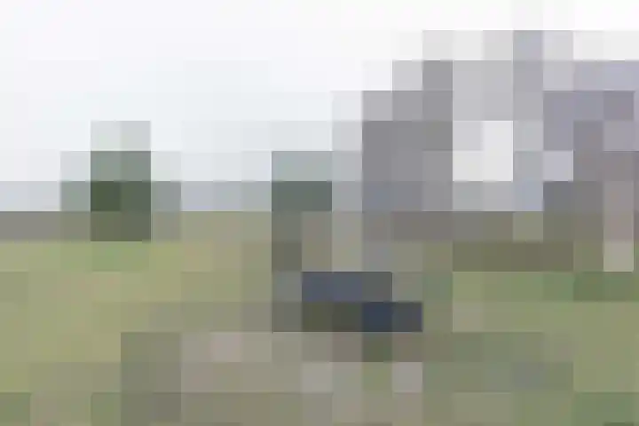 Postweg 81 Soesterberg thumbnail 48