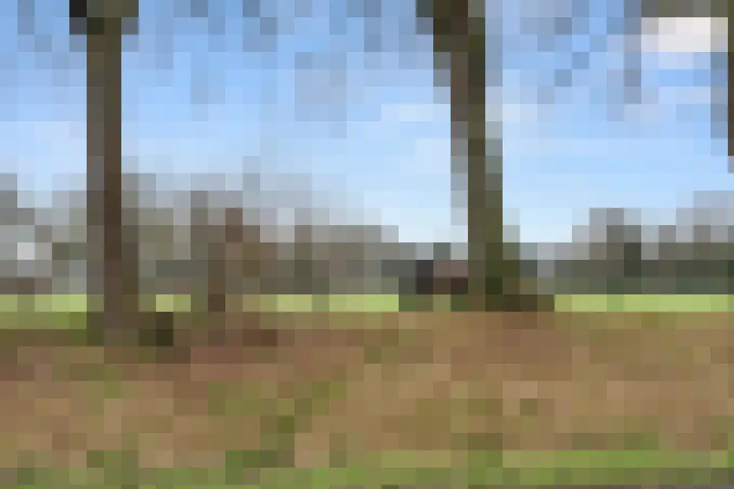 Postweg 89 A Lunteren thumbnail 8