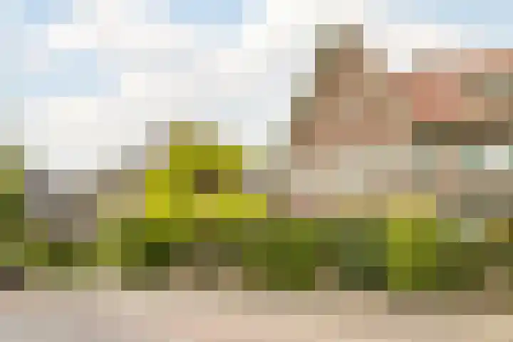 Postweg 9 Nijmegen thumbnail 75