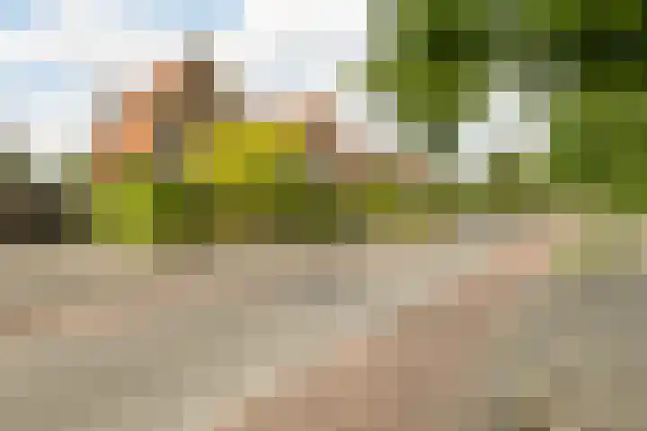 Postweg 9 Nijmegen thumbnail 76