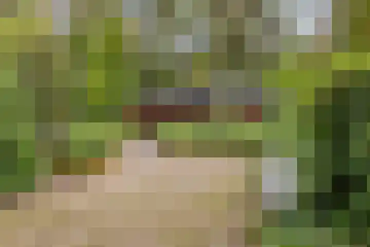 Postweg 95 Holten thumbnail 32