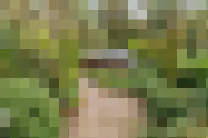 Postweg 95 Holten thumbnail 33