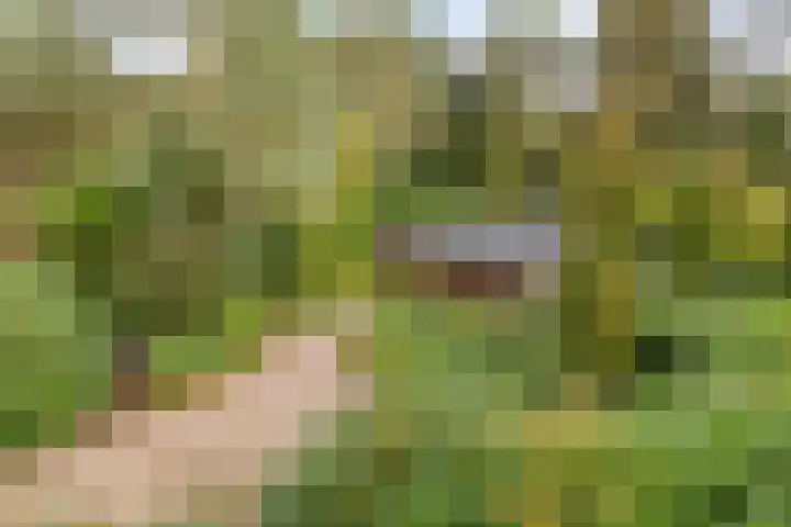 Postweg 95 Holten thumbnail 34