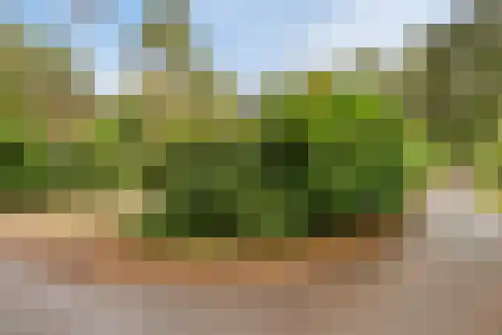 Postweg 95 Holten thumbnail 36