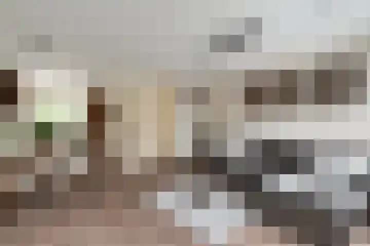 Postweid 128 Venhuizen thumbnail 11