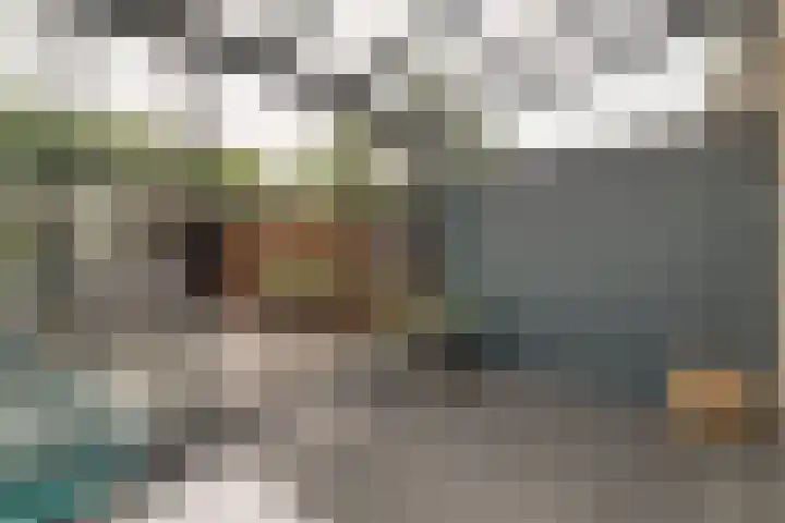 Postweid 128 Venhuizen thumbnail 14