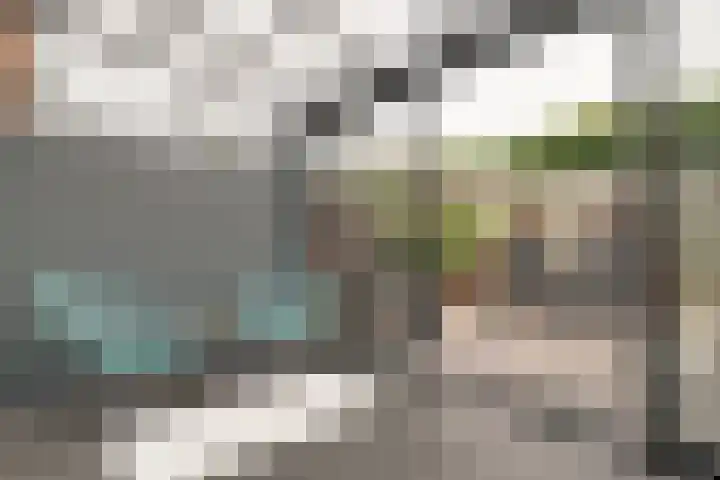 Postweid 128 Venhuizen thumbnail 15