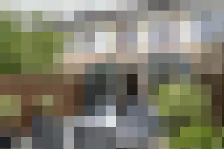 Postweid 128 Venhuizen thumbnail 18