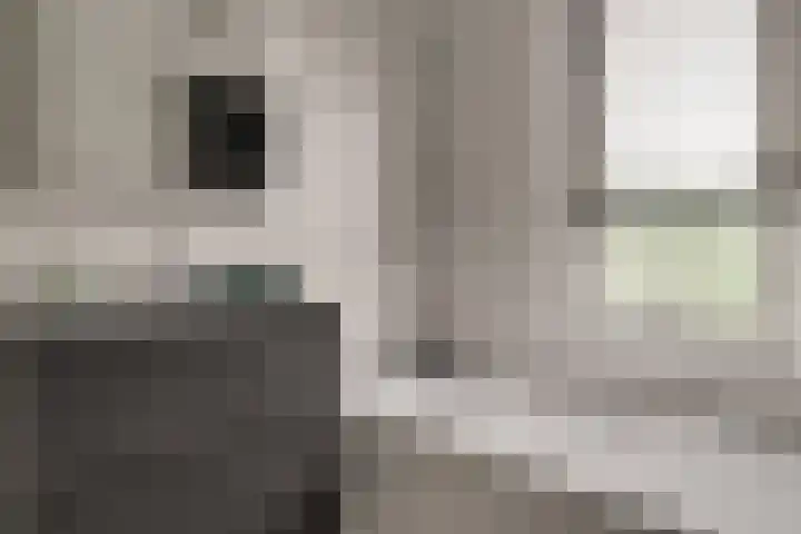 Postweid 128 Venhuizen thumbnail 23