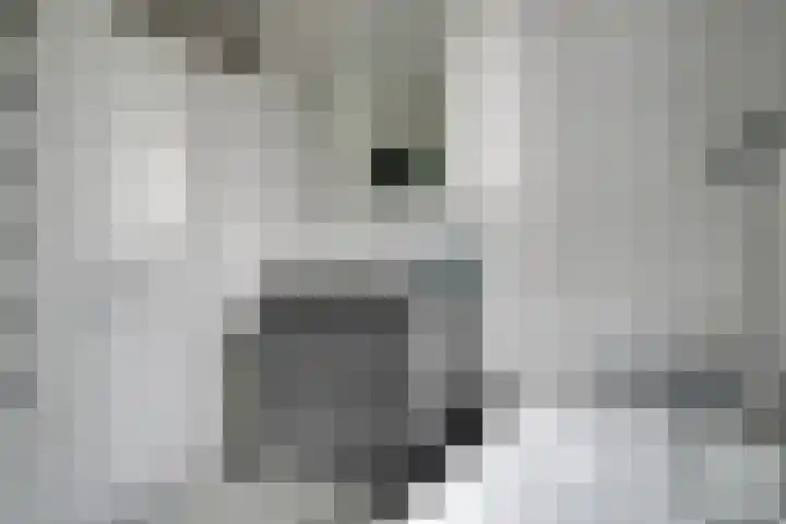 Postweid 128 Venhuizen thumbnail 24