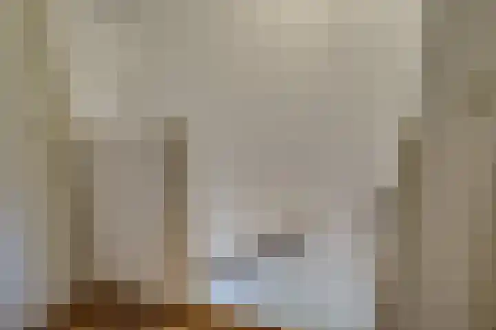 Postweid 128 Venhuizen thumbnail 31