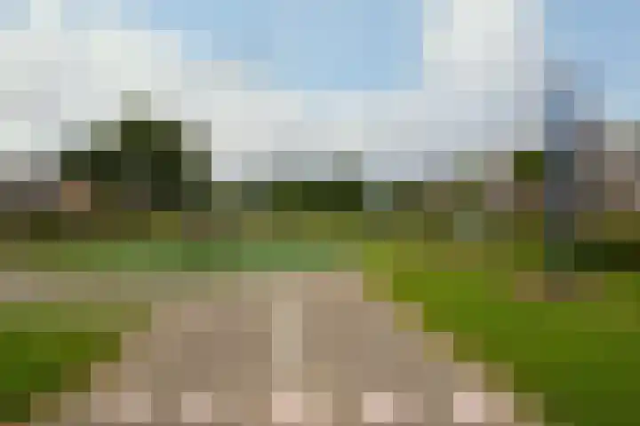 Postweid 128 Venhuizen thumbnail 38