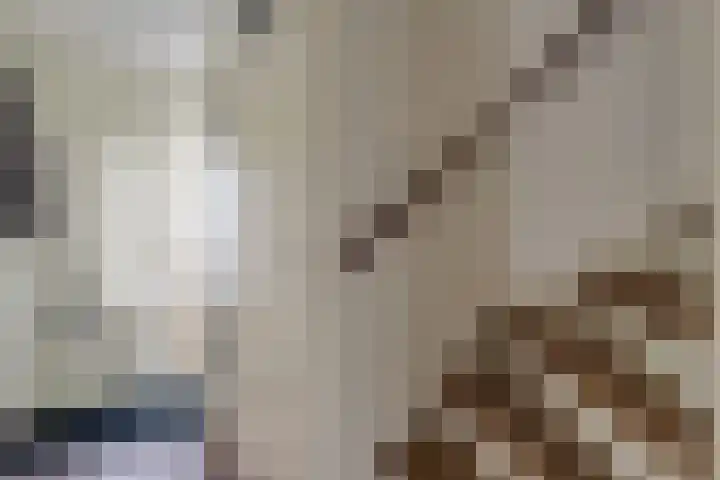 Postweid 128 Venhuizen thumbnail 4