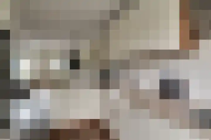 Postweid 128 Venhuizen thumbnail 9