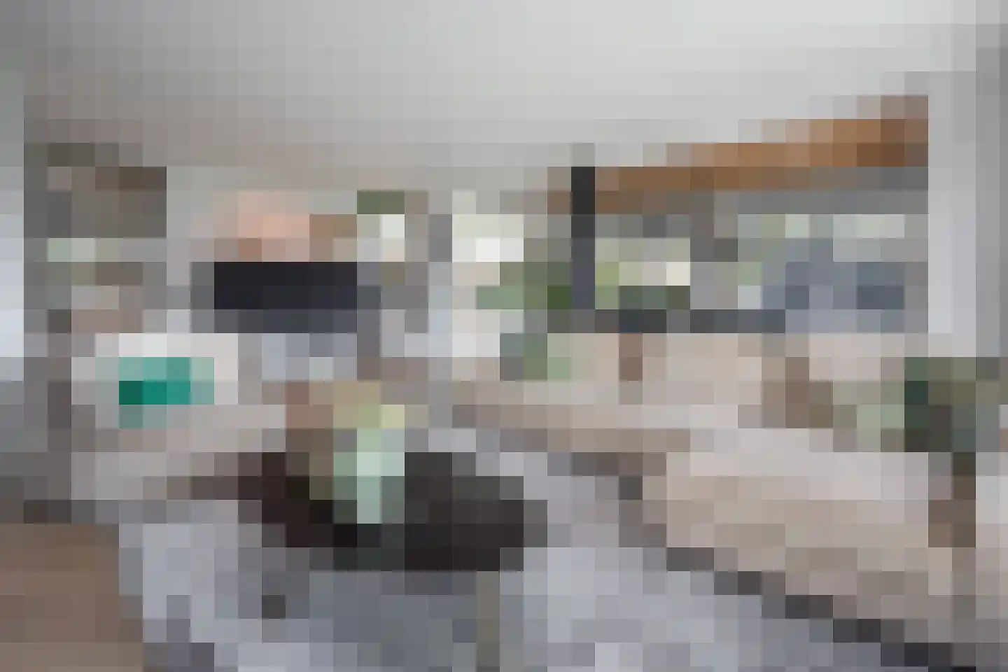 Postweid 17 Venhuizen thumbnail 13