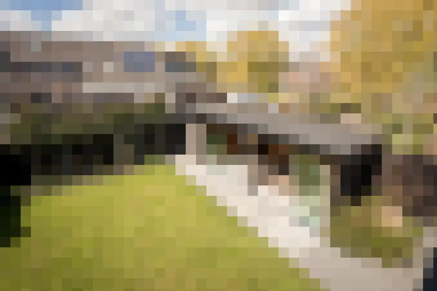 Postweid 17 Venhuizen thumbnail 25