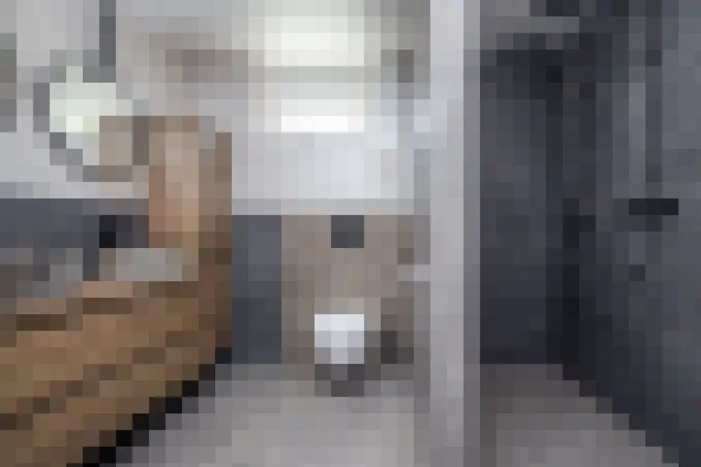 Postweid 17 Venhuizen thumbnail 28