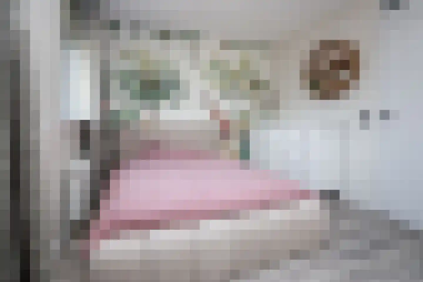 Postweid 17 Venhuizen thumbnail 30