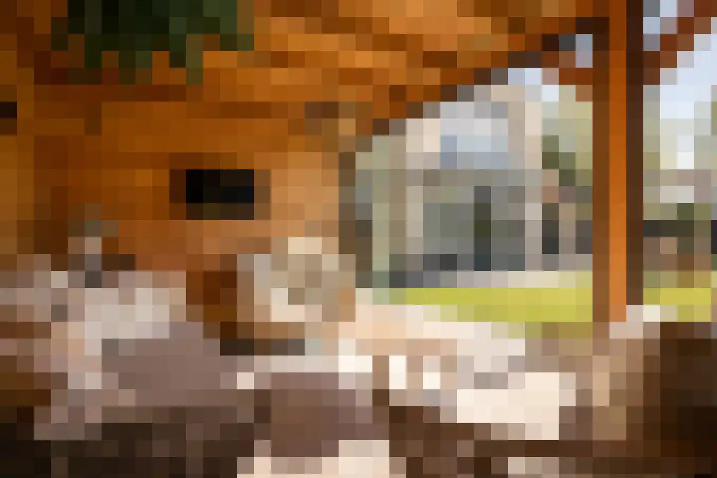 Postweid 17 Venhuizen thumbnail 37