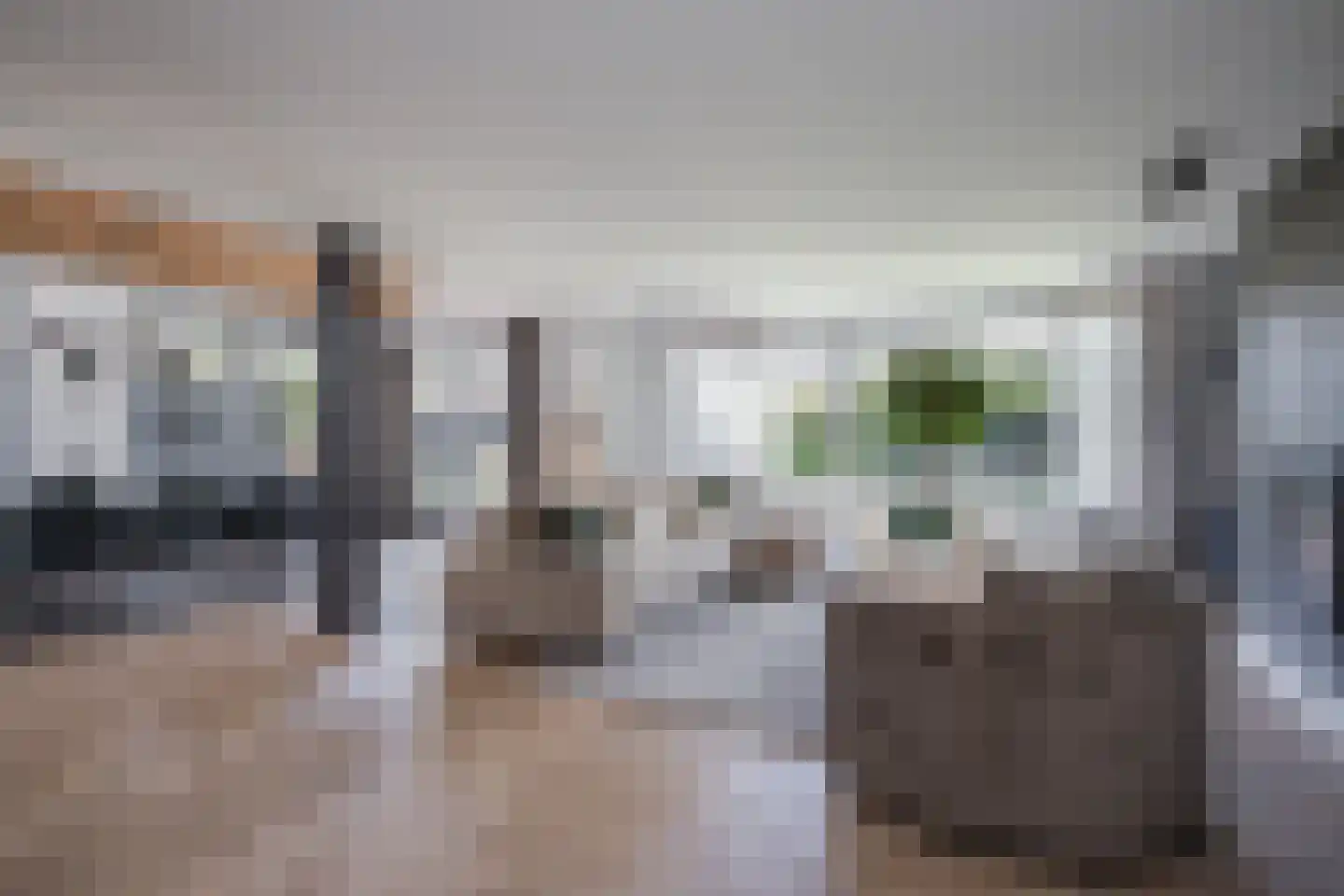 Postweid 17 Venhuizen thumbnail 4