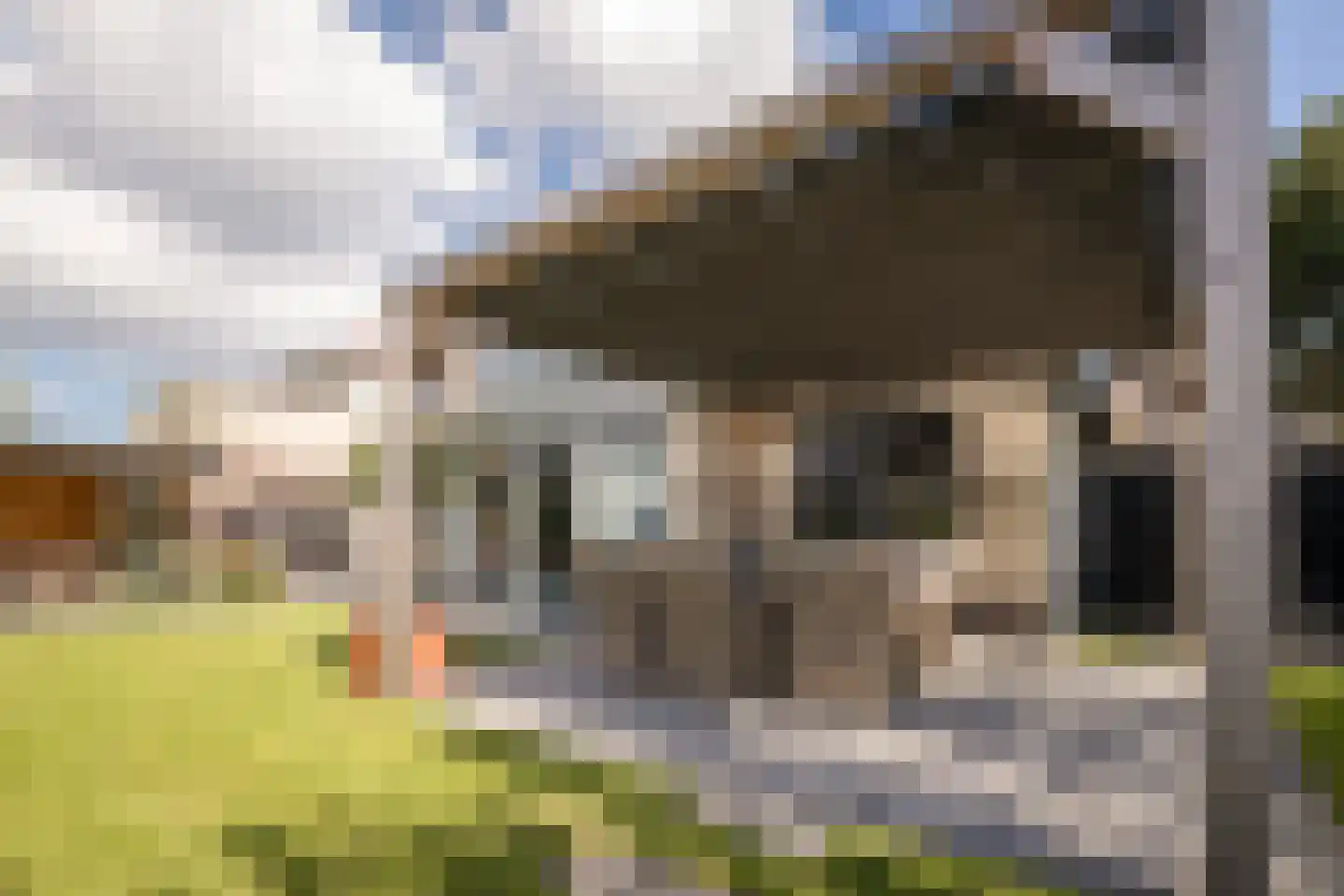 Postweid 17 Venhuizen thumbnail 43