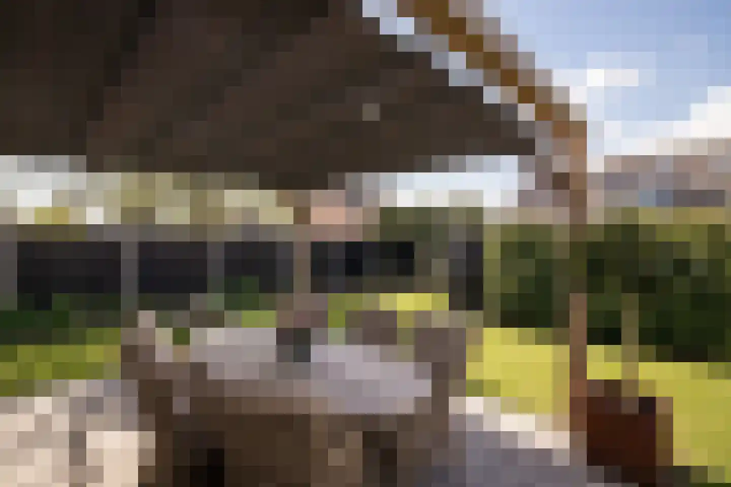 Postweid 17 Venhuizen thumbnail 44