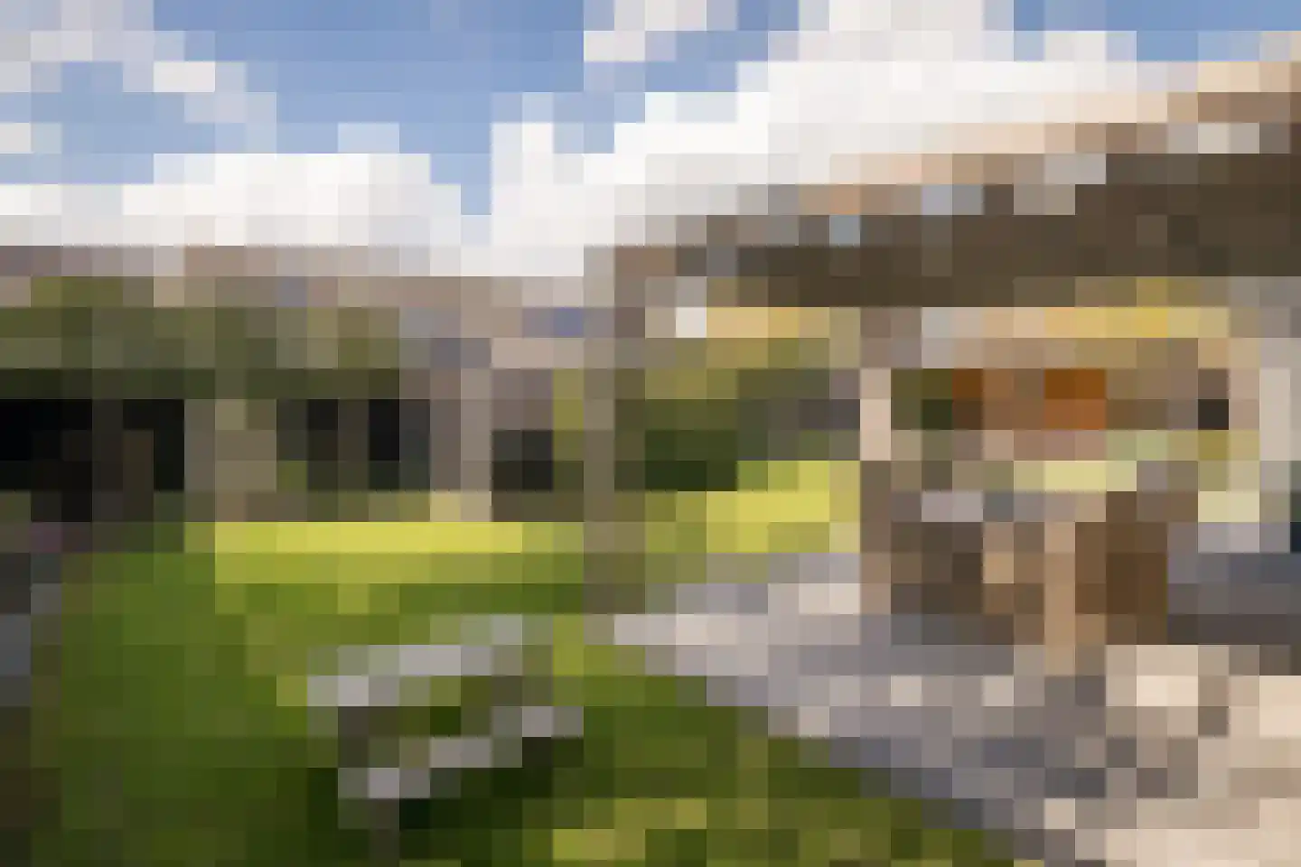 Postweid 17 Venhuizen thumbnail 45